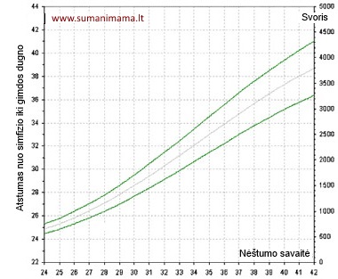 atstumas-nuo-simfizio