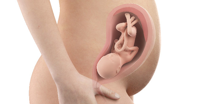 30 nėštumo savaičių pilvas