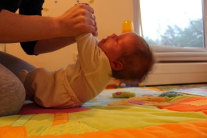 Sodinimas ir galvos kontrolė (1-2 mėn.)